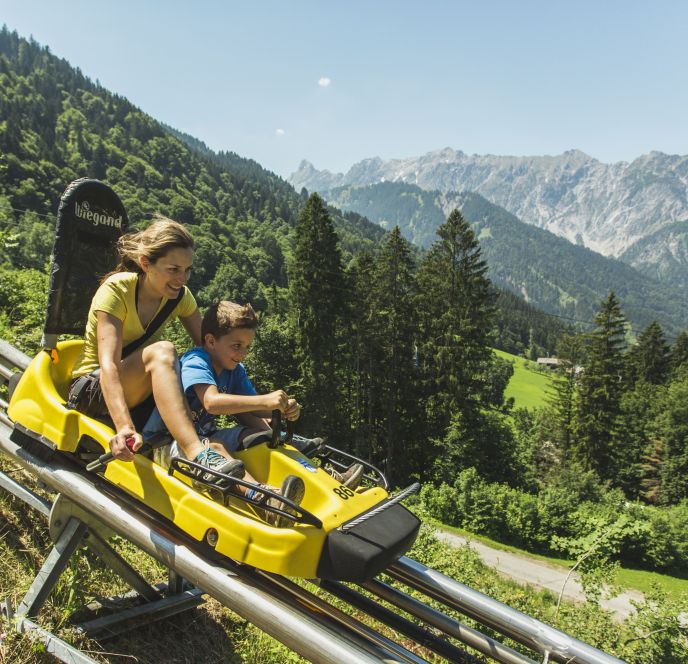 Cruising down the mountain Summer tobogganing Convention